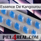 Kangaroo Essence 22